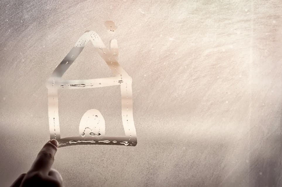 Mould assessment report